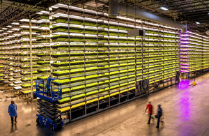vertical farming 3