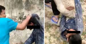 Muslim Boy