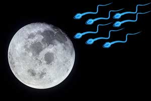 sperm going moon