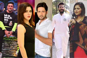 Celebrity polls