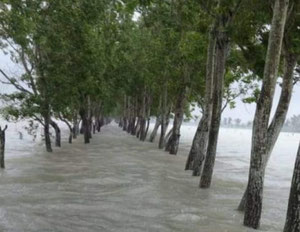 Rainfall alert