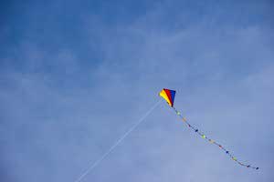 Kite fly