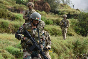 indian army border mountain guns artilary