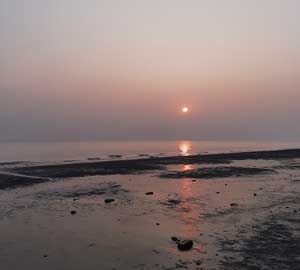 Winter sunset