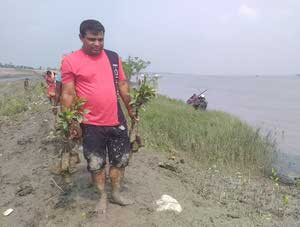 Mangrove Man 2