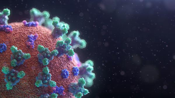 coronavirus west bengal India status